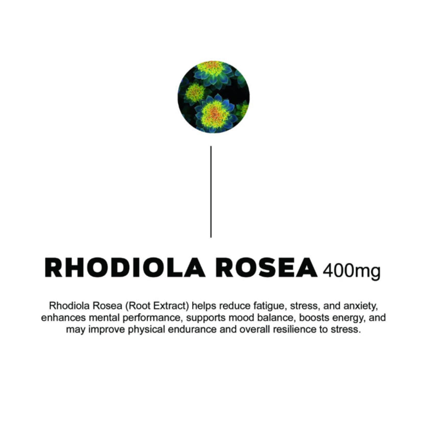 NAC, Magnesium, Omega 3, Vit D3 + K2, Rhodiola Rosea - 30 Daily Packs